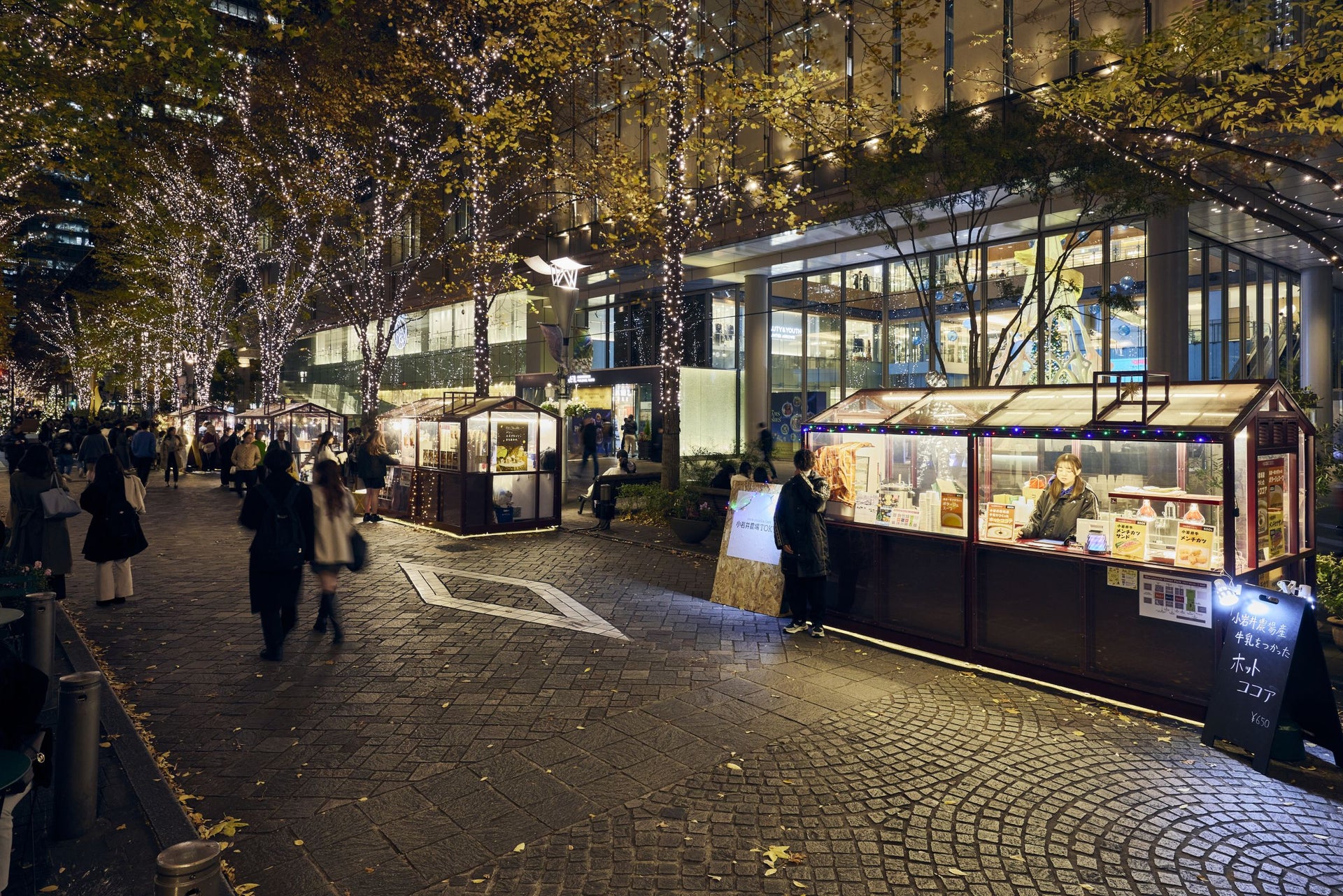 Marunouchi Street Park 2023 Winter